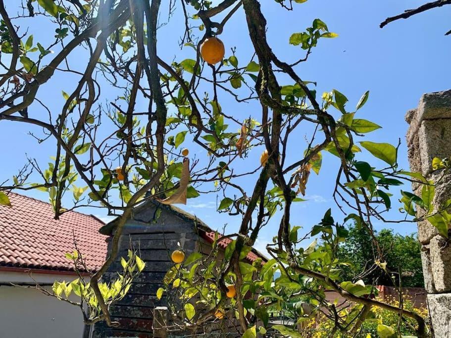 Casa Gerente Muros Exterior foto